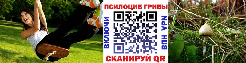 Псилоцибиновые грибы мицелий  blacksprut ONION  Лесосибирск 